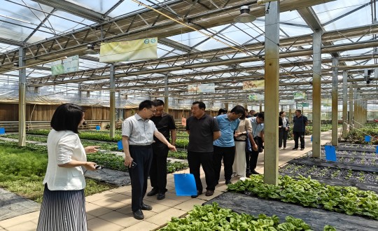 2024年6月27日，中国绿色食品发展中心有关辅导光临农业总公司调查调研_副本.jpg
