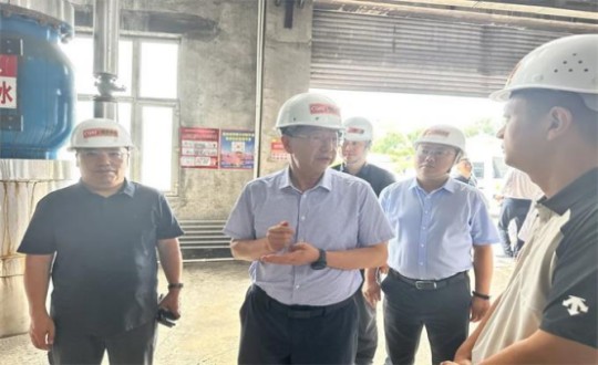 14.伊通满族自治县县委书记孙立阳一行辅导光临BBIN宝盈集团供热总公司伊通供热分公司第二热源厂发展调研（不够清澈，助忙调整）_副本.jpg